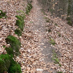 23-03-05 10-34-12 4733